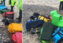 Narkoba Senilai Rp 823 Miliar Ditemukan Berkat Dikencingi Anjing