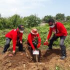 Sekitar 10.000 pohon yang ditanamkan sepanjang sungai Teluknaga dan Se-Kab Tangerang