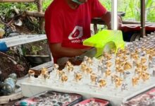 Pengusaha Muda Yang Bergerak di Batu Akik
