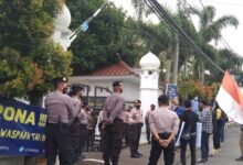 Dipicu Telur Busuk, Empat OKP Mahasiswa Desak Kejari Pandeglang Periksa Direktur CV. Kenzi One Indonesia