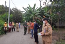 Sekitar 3 box/hari membagikan masker gratis pada masyarakat di pertigaan masuk Kantor Desa Mekar Kondang