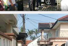 Saatnya anak muda membangun Desanya