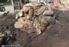 Sementara itu,Teja selaku Personalia PT.Torabika Eka Semesta, mambantah