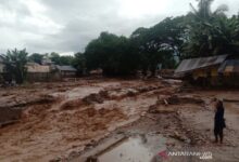 Sekitar 50 rumah penduduk, ludes di bawah arus banjir bandang.