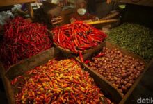 Harga cabai rawit merah di wilayah DKI Jakarta dan sekitarnya masih tinggi.