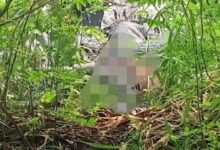 Mayat wanita membusuk di pinggir sungai cirarap gegerkan warga kampung begog