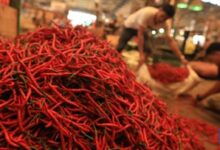 Telor Ayam naik dratis, cabe keriting dan cabe merah naik di Pasar Pakuhaji dan Sepatan