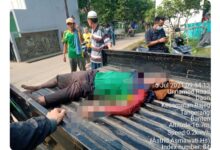 Mau nebang pohon tersengat listrik jatu meninggal..