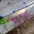 Anak 2 tahun di gorok lehernya oleh tetangganya sendiri.