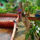 Ditengah pandemi Ibu rumah tangga ini hasilkan uang jutaan rupiah.