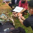 Rekontruksi pembunuhan korban di cekek lehernya untuk mastikan korban meninggal lehernya di injak baru di bakar pakai kain dan daun kering.