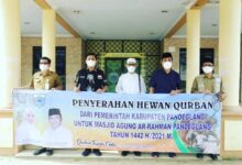 Wabup tanto Serahkan 56 Hewan Qurban Idul Adha 1442H.