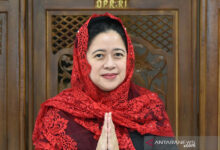 Kepala Daerah Propinsi dan Kota/kab agar membayar honer tenaga kesehatan