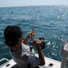 Pemerintah Meksiko resmi mengubah kebijakan zona larangan memancing. Akibatnya, lumba-lumba langka yang jumlahnya tinggal 10 ekor di alam,