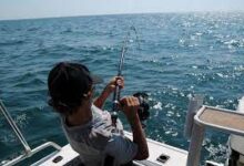 Pemerintah Meksiko resmi mengubah kebijakan zona larangan memancing. Akibatnya, lumba-lumba langka yang jumlahnya tinggal 10 ekor di alam,