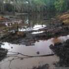 Oknum para penambagan illegal marak di jambi. Pasalnya, aktivitas penambangan minyak mentah ilegal