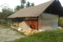 Perusahaan Batu bata merah di Kampung Sarakan, omsetnya merosot
