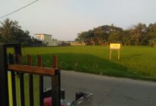 Penyediaan Pupuk dan Beni Padi, Mulai berkurang dan terbatas