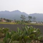 Pariwisata Tarongong Kaler masi alami dan asri, begitu nginap di hotel tertarik untuk datang kembali