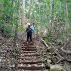 Setidaknya Pemkab Sorong akan membuat taman hutang untuk Papua. Sekitar  575 hektare akan di jadikan cagar