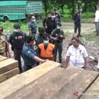 Pihak pencuri dan Perdagan kayu liar mulai marak lagi, milyaran rupiah Pemda Daerah dirugikan