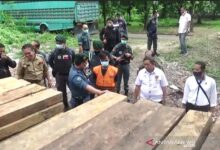 Pihak pencuri dan Perdagan kayu liar mulai marak lagi, milyaran rupiah Pemda Daerah dirugikan