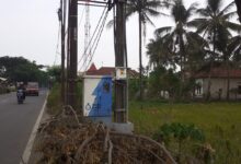 Habis penebangan pohon pihak PLN tidak di angkut sampah pohonnya