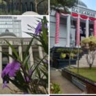 MK Tolak Gugatan leasing sita barang tanpa proses Pengadilan.