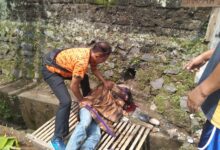 Sadis benar itu orang, apakah benar itu sikorban di gorok lehernya. Jika Ia, ini pembunuhan berencana.