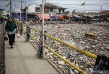 Sampah Di Kali prancis menumpuk, pihak Dinas Terkait belum ada upaya pembersihan