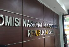 Kurang Tegasnya pihak pemerintah dalam mengambil tindakan, bahkan sudah jutaan sipil mati