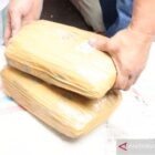 Sekitar 534 kilogram ganja kering ini siap di edar di jakarta, setelah tiba di jakarta tangkap pula,
