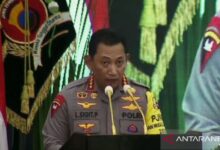 Kasus keadilan naik sekitar 25% ketimbang tahun 2021 lalu, kini menjadi 11.811 kasus