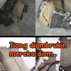 Lalu komentar di media matapost tidak sedap mengatakan dengan Whatsapp, Maklum gabernernya tolol😂😃 . Itu masih mending bang