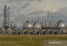 Analis PVM Stephen Brennock, mencatat data bearish mengatakan, Minyak di pangsa pasar dunia harga minyak mentah