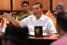 Thomas Lembong terpukul hatinya, Seharus Menko Luhut tak usahlah menyebutkan lulusan mana?.