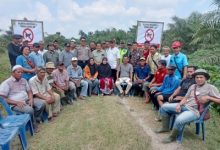 Manager PT.Lonsum Bersama Polsek Labuhan Ruku Sosialisasi Kepada Masyarakat Tentang Ternak Sapi Berdampak Pada perkebunan