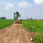 Pengurugan jalan usaha tani blok bok tengah desa banyu kambang.