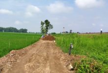 Pengurugan jalan usaha tani blok bok tengah desa banyu kambang.