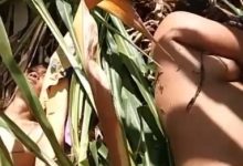 Para natizen dan warga di Group juga tidak senang perlakuan OPM semakin hari semangkin melanggar ham.