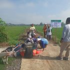 Desa kertobanyon membangun infrastruktur jalan rabat beton untuk persawahan memperlancar transportasi.