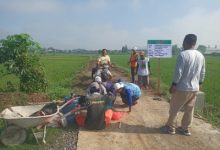 Desa kertobanyon membangun infrastruktur jalan rabat beton untuk persawahan memperlancar transportasi.