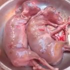 Sempat geger, bahwa sapi jatan di Pakanbaru punya anak dua dalam kandungnya.