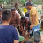 Kades Mekar Mulio Serahkan 2 Ekor Sapi Dan 1 Ekor Kambing Bantuan Kurban Kepada Masyarakat.