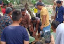 Kades Mekar Mulio Serahkan 2 Ekor Sapi Dan 1 Ekor Kambing Bantuan Kurban Kepada Masyarakat.