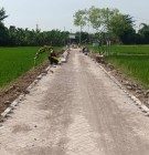 Manfaatkan dd desa Sawahan bangun jalan usaha tani.