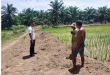 Kades Dan Masyarakat Bergotong Royong Membuka Jalan Penghubung Antar Desa.