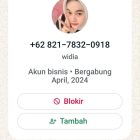 Pihak aparat polisi agar di tangkap pinjaman seperti ini, yang terima uang siapa, yang ganti rugi siapa.