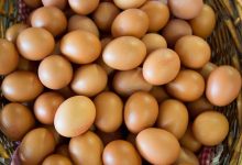 Warga dari IRT sudah mulai mengeluh ada kenaikan telor ayam sudah harga naik.