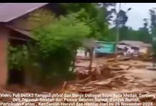 Kab, Tapan Nauli lagi kena Musibah Banjir Bandeng, ternak dan pemungkinan warga teredam banjir juga.